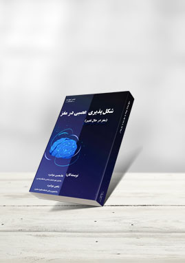 شکل پذیری عصبی در مغز